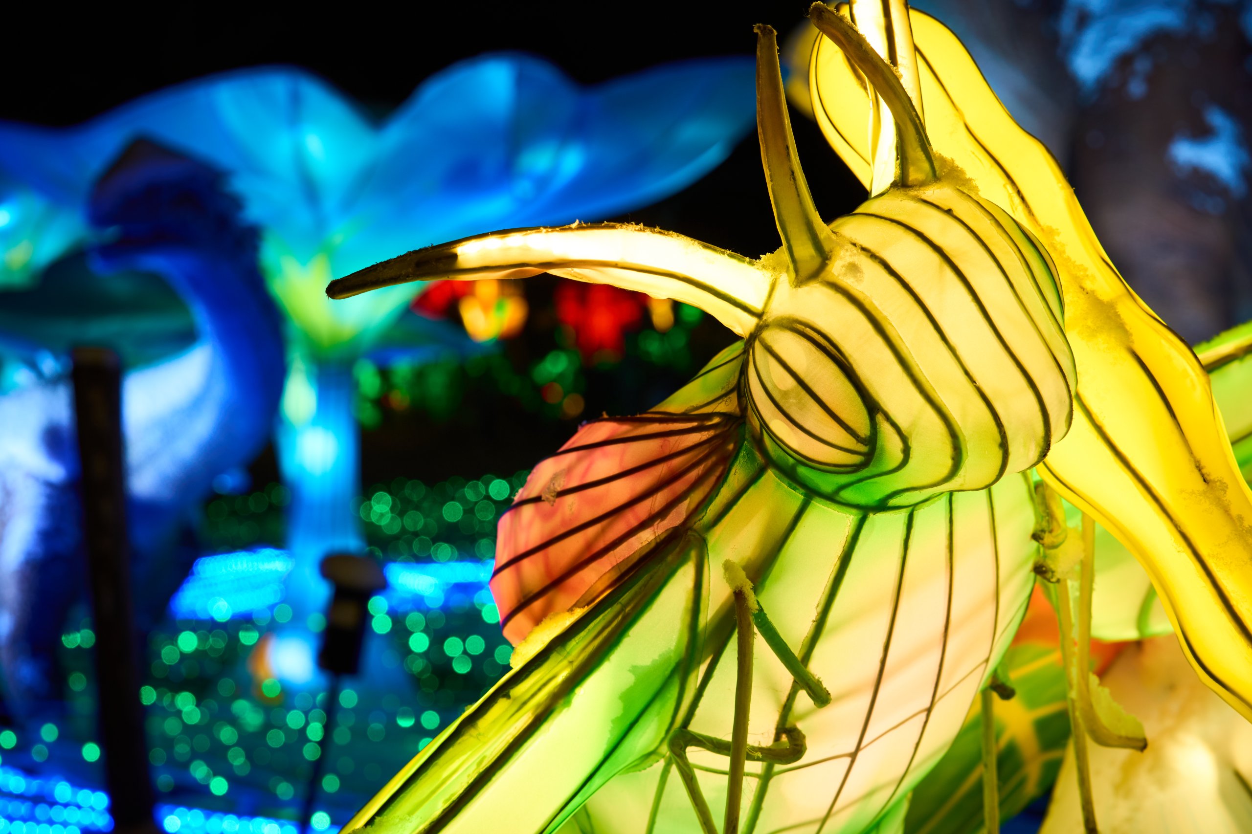 2026 01 05 China Lights 0040